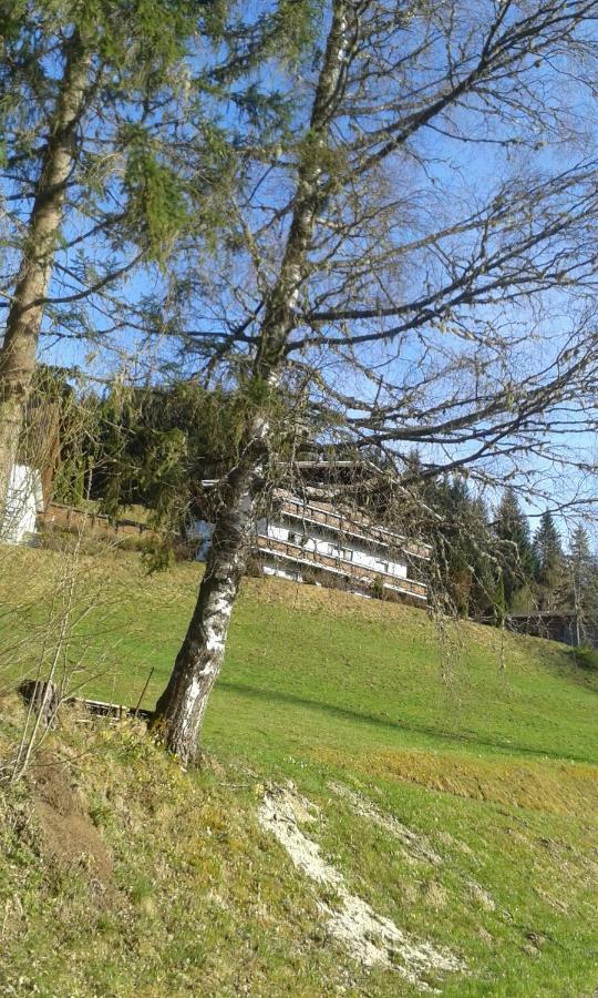 Pension Chalet Bergseegut Wagrain Ngoại thất bức ảnh