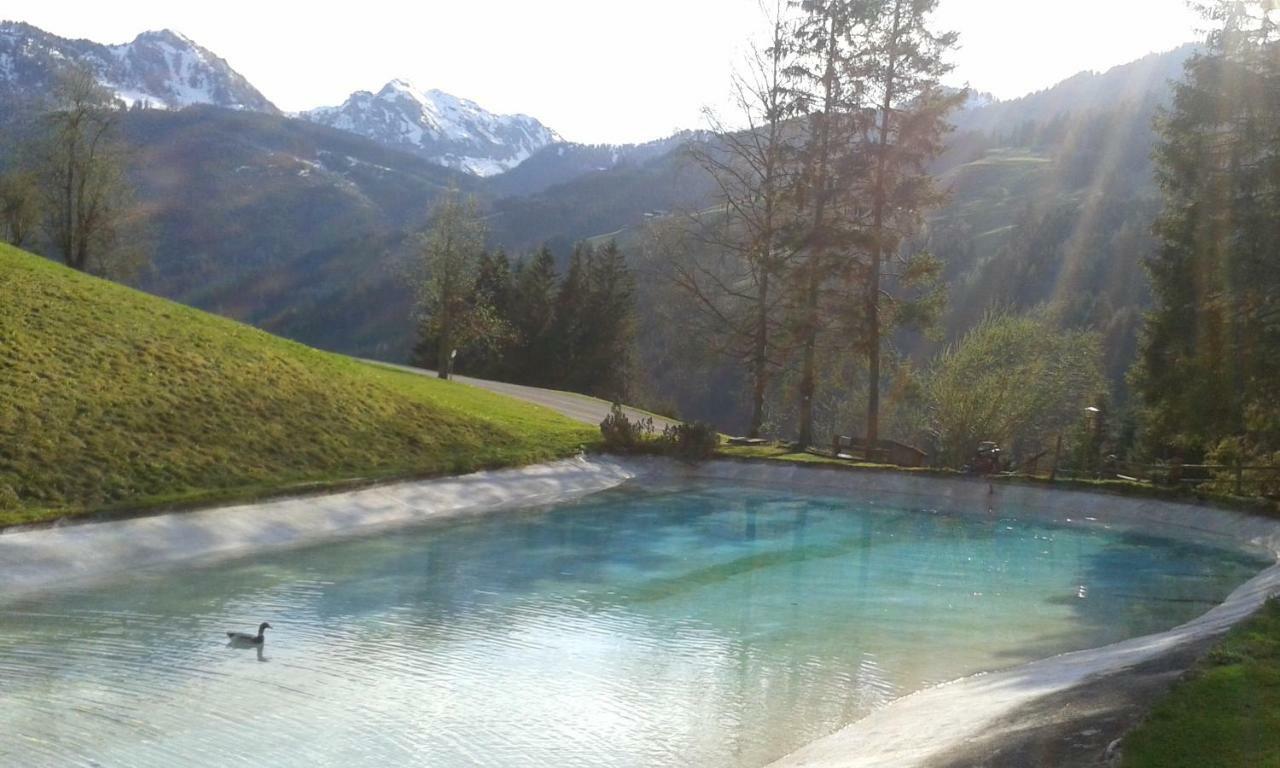 Pension Chalet Bergseegut Wagrain Ngoại thất bức ảnh