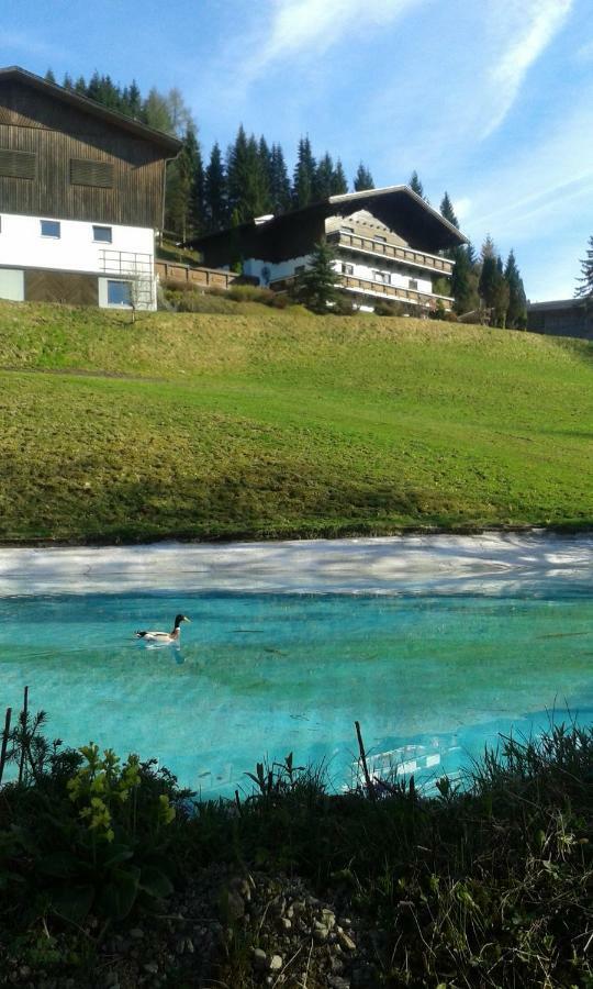 Pension Chalet Bergseegut Wagrain Ngoại thất bức ảnh