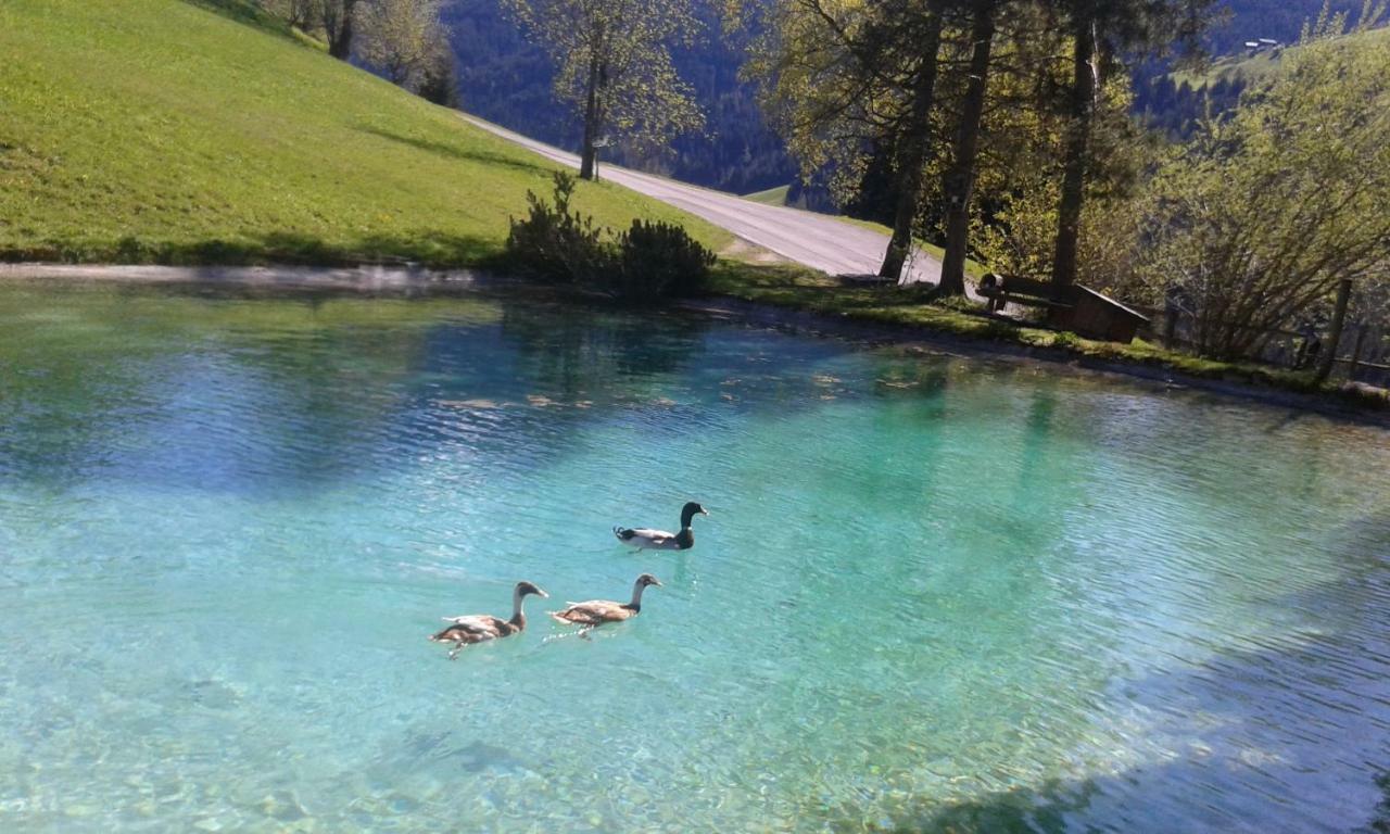 Pension Chalet Bergseegut Wagrain Ngoại thất bức ảnh