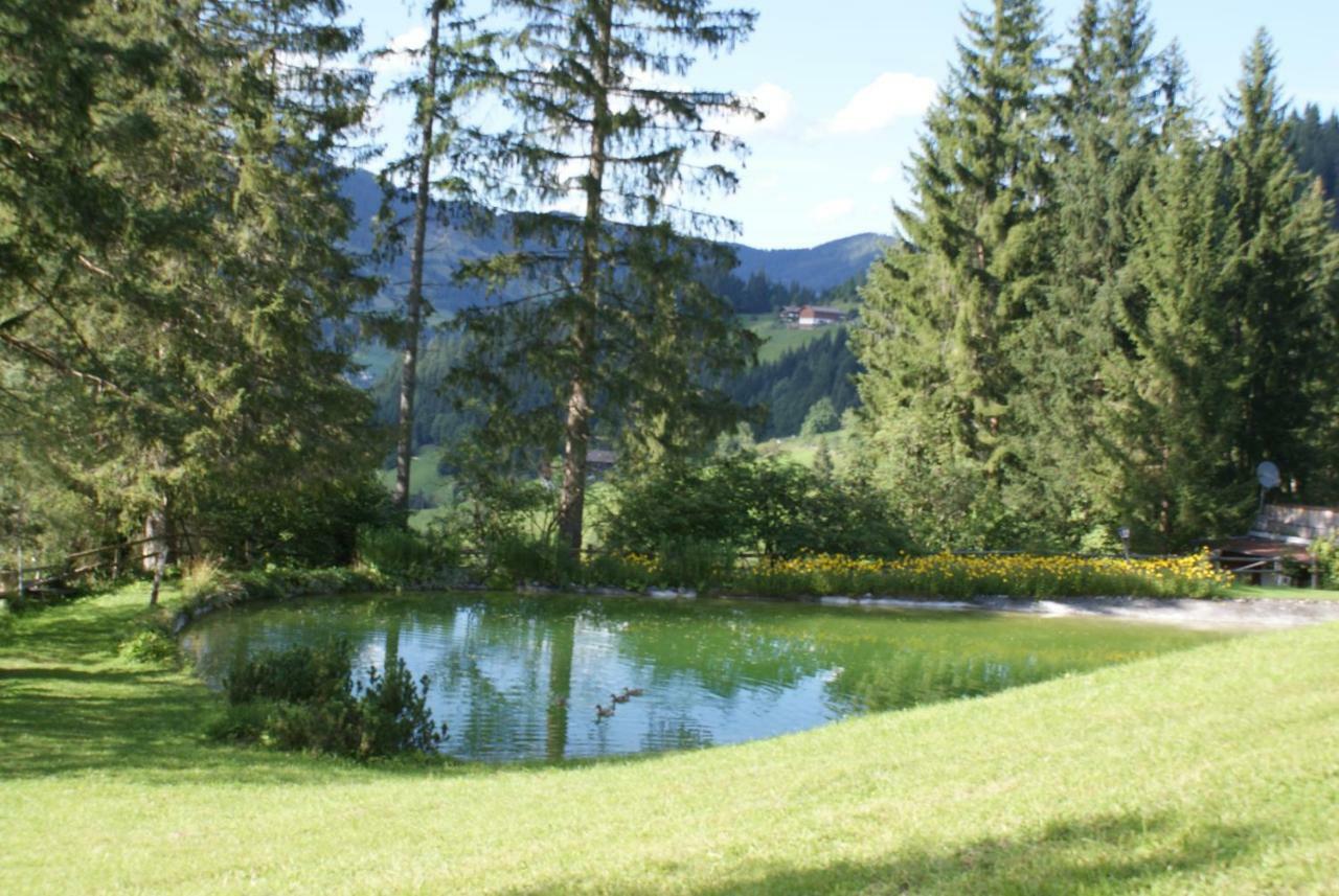 Pension Chalet Bergseegut Wagrain Ngoại thất bức ảnh