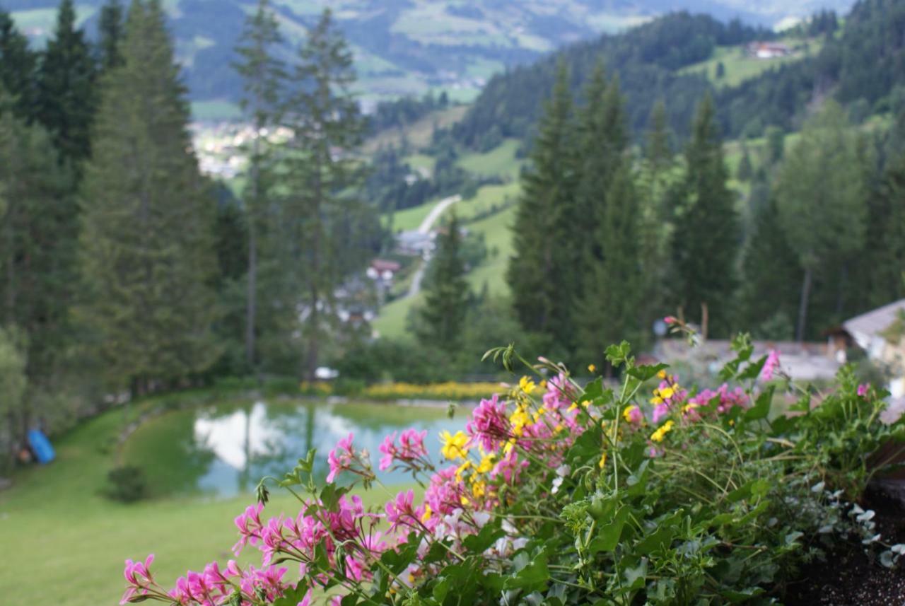 Pension Chalet Bergseegut Wagrain Ngoại thất bức ảnh